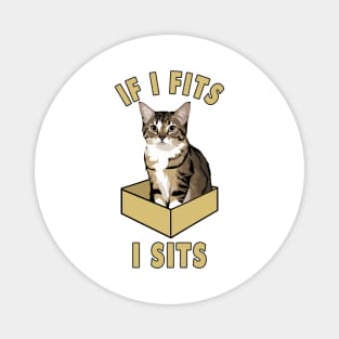 If I Fits, I Sits Funny Cat Design Magnet